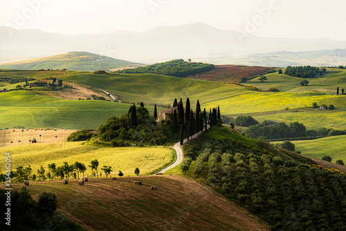 Scenic Tuscany landscape in golden morning light, Val d'Orcia, Italy photo