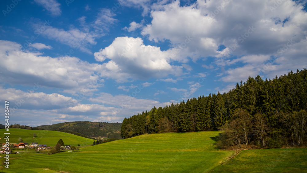 Germany, Green pastures and trees at the edge of the forest of black forest nature landscape with moving clouds and shadows