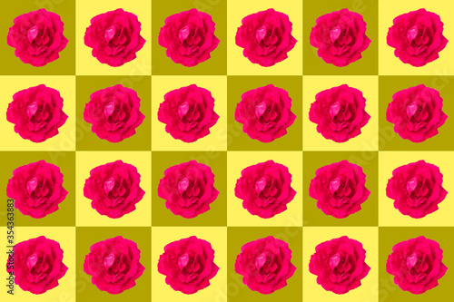 squares with twenty-four rose blossoms on yellow colored background