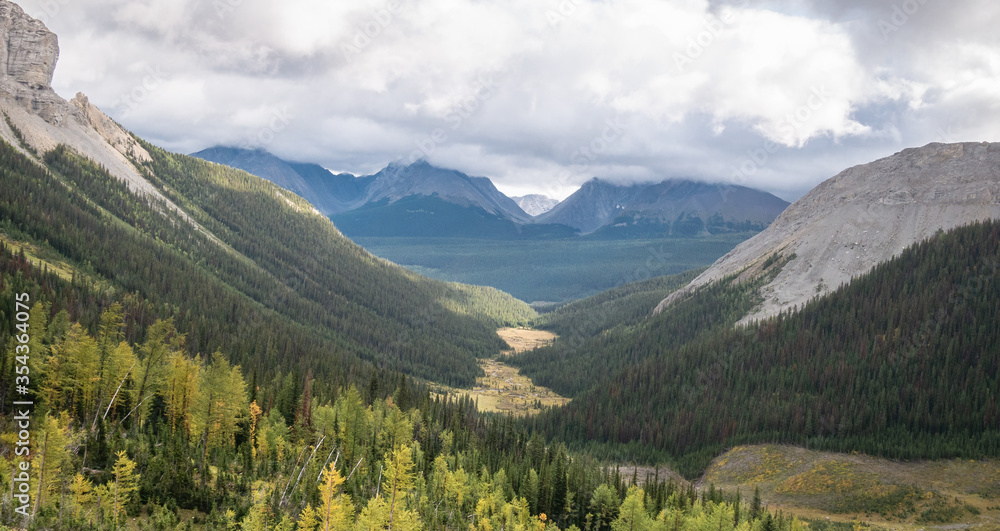 View on alpine valley with forest and mountains, shot on Mount Smutwood trail in Kananaskis, Alberta, Canada