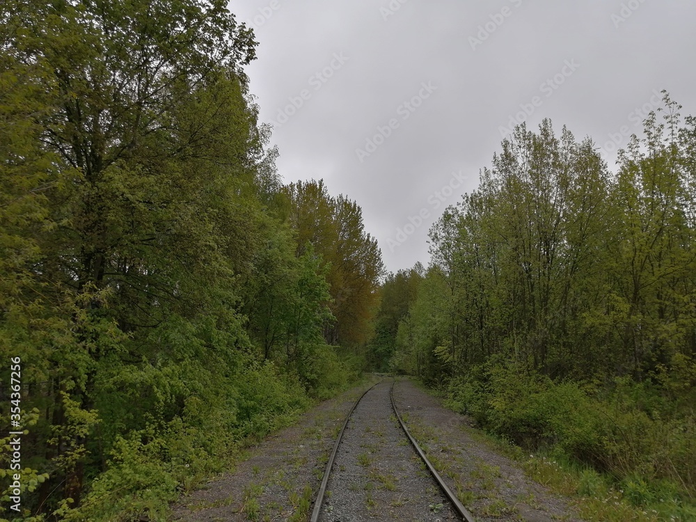 Obraz premium railroad rails linear perspective forest trees sleepers