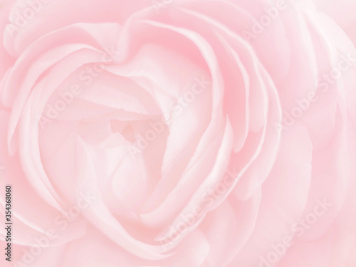Heart shaped rose. Blurred pink floral background. Close-up