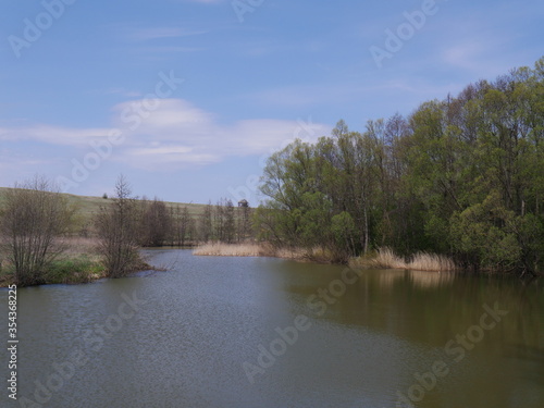 lake in the forest