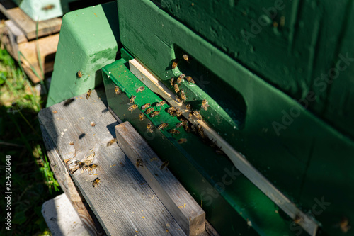 bees at the entrance and on frame
