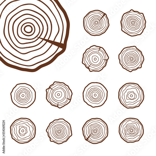 Abstract age annual circle tree background. Tree rings vector set