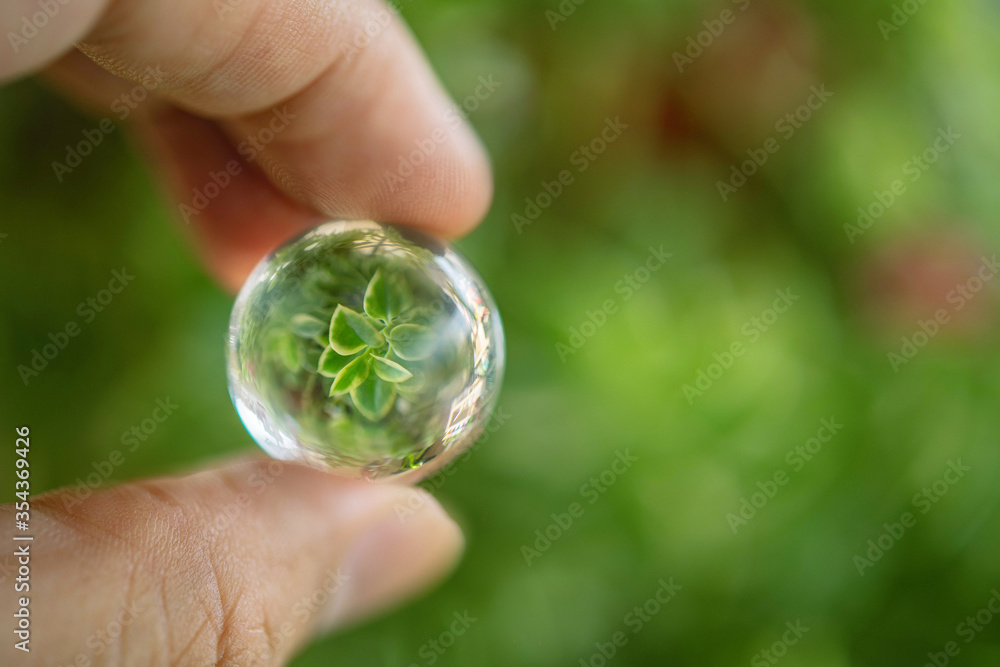 Reflection of Greenery  in a glass ball in holding hand	
