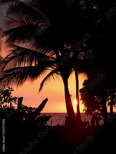 Vivid Tropical Sunset with orange sky and silhouetted palm trees