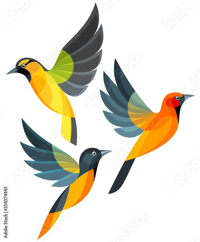 Stylized Birds - Bullock's Oriole, Streak-backed Oriole and Baltimore Oriole
