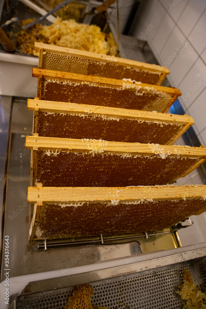 golden honey harvest with hands golden honey harvest with hands