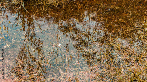 puddle