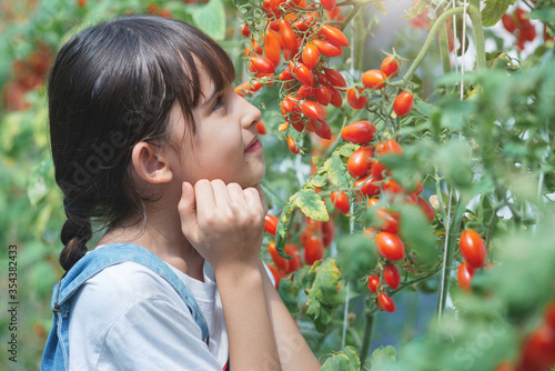 Little girl proudly looked at the tomatoes  in the tomato farm