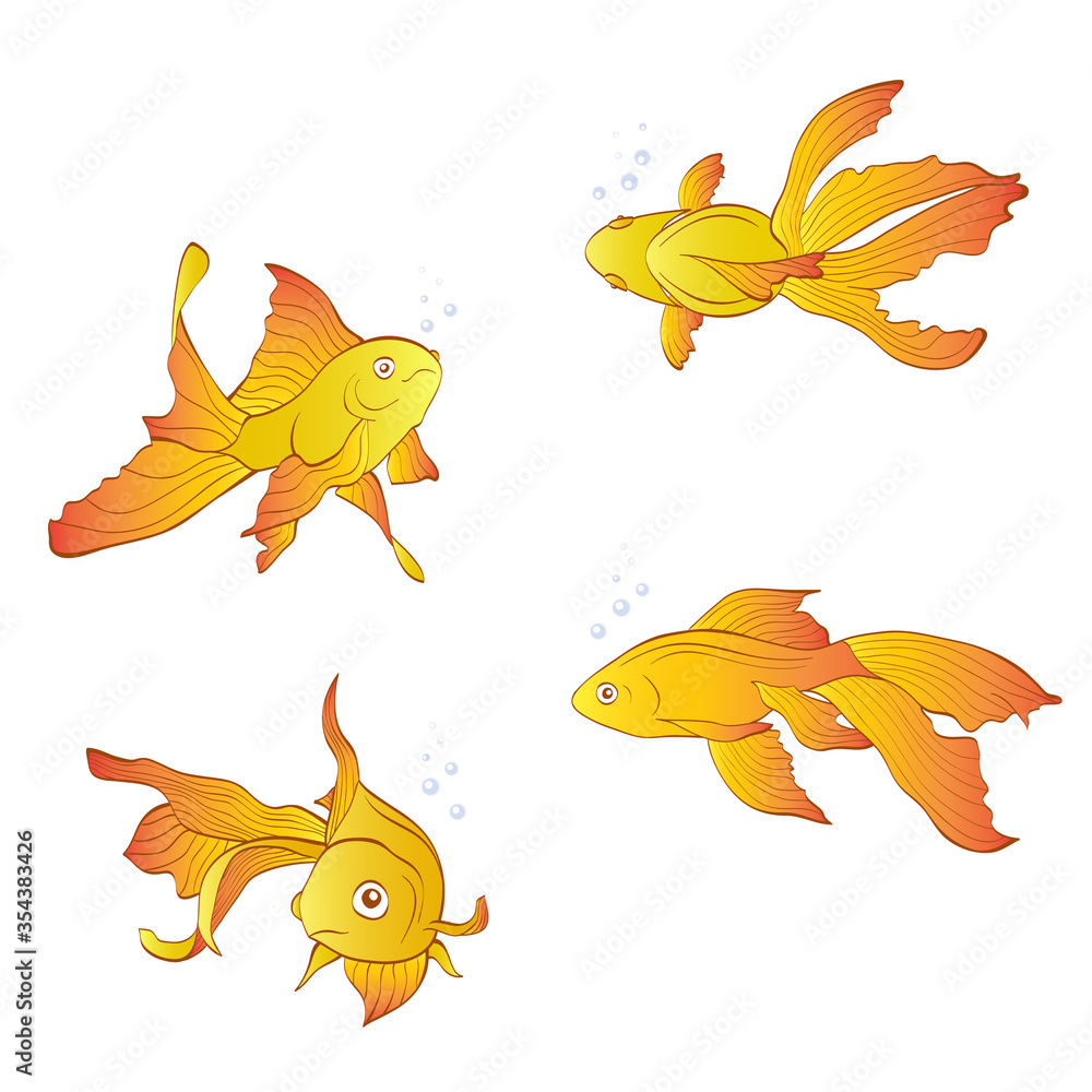 Fototapeta premium Vector set of aquarium goldfishes isolated on white background