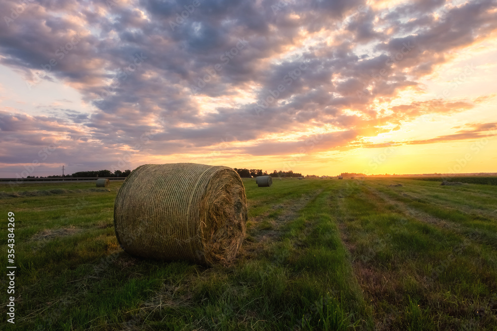 Round straw bales in harvested fields and beautiful sunset or dawn sky with dramatic clouds. Beautiful countryside landscape