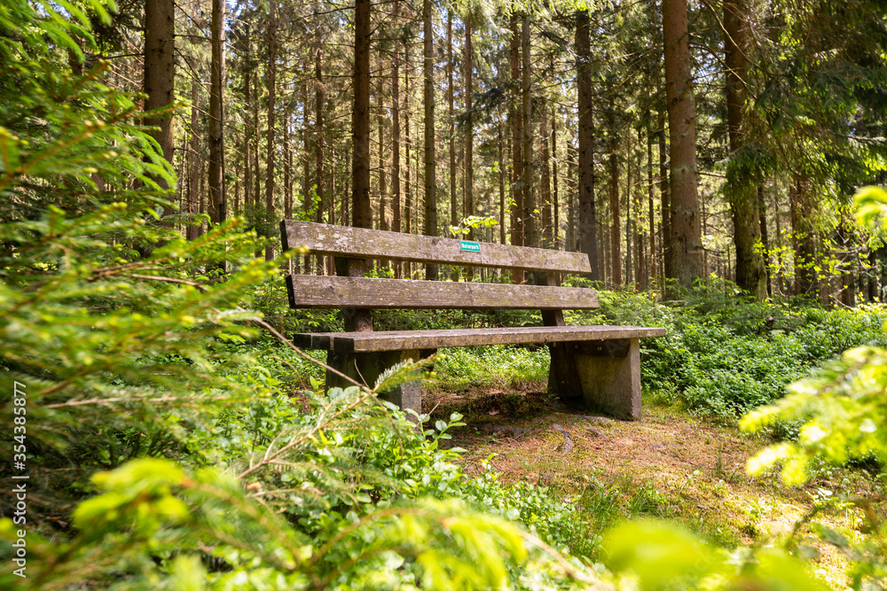 Bank im Bayrischen Wald Bank im Bayrischen Wald