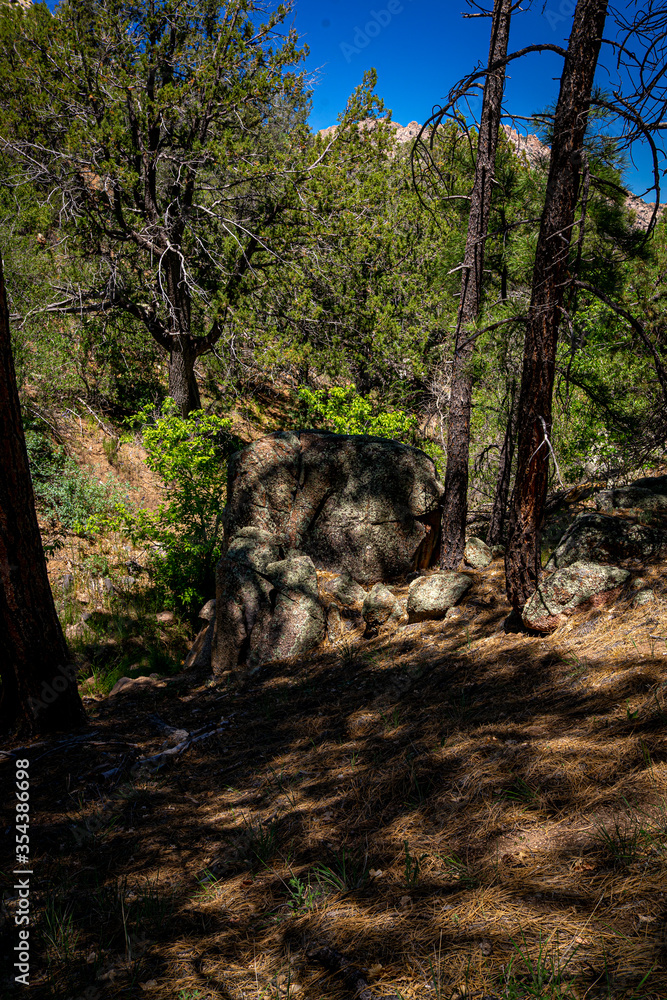 This is a forest view along the Clark Springs Trail in the Granite Mountain Recreation Area of Prescott, Arizona. Mountains are in the background. This is a forest view along the Clark Springs Trail in the Granite Mountain Recreation Area of Prescott, Arizona. Mountains are in the background.