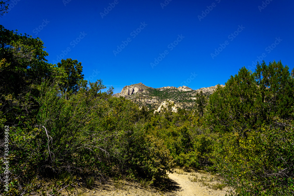 This image of a beautiful mountain view was captured on the Clark Springs Trail in the Granite Mountain Recreation Area in Prescott, Arizona.