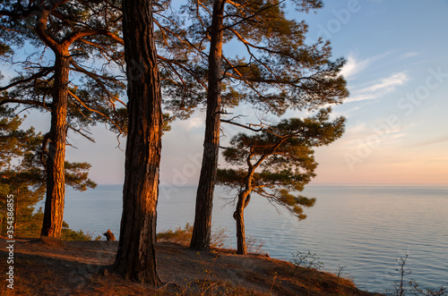 Evening in the pine forest of Pitsunda in the Blue Abyss, Divnomorsk, Black Sea