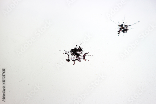 Black bird excrement on a white paper background