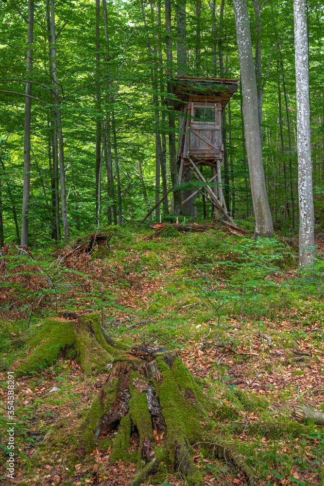 Hochsitz im Wald auf dem Kesselberg in Bayern Hochsitz im Wald auf dem Kesselberg in Bayern