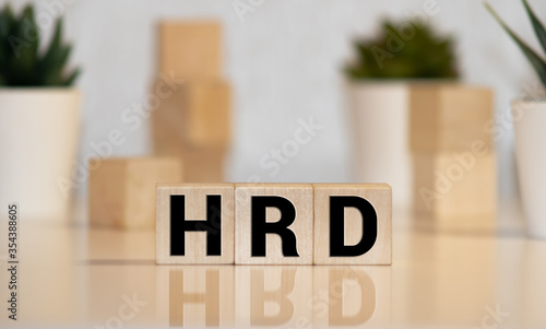 Word HRD made with wood building blocks,stock image photo