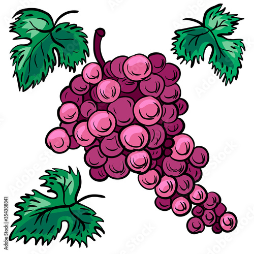 bunch of grapes vector illustration