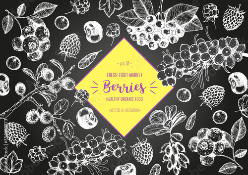 Berries hand drawn, vector illustration frame. Hand drawn sketch illustration with buckthorn, blueberry, blackberry, cherry, barberry, blackthorn, raspberry. Healthy food design template with berries