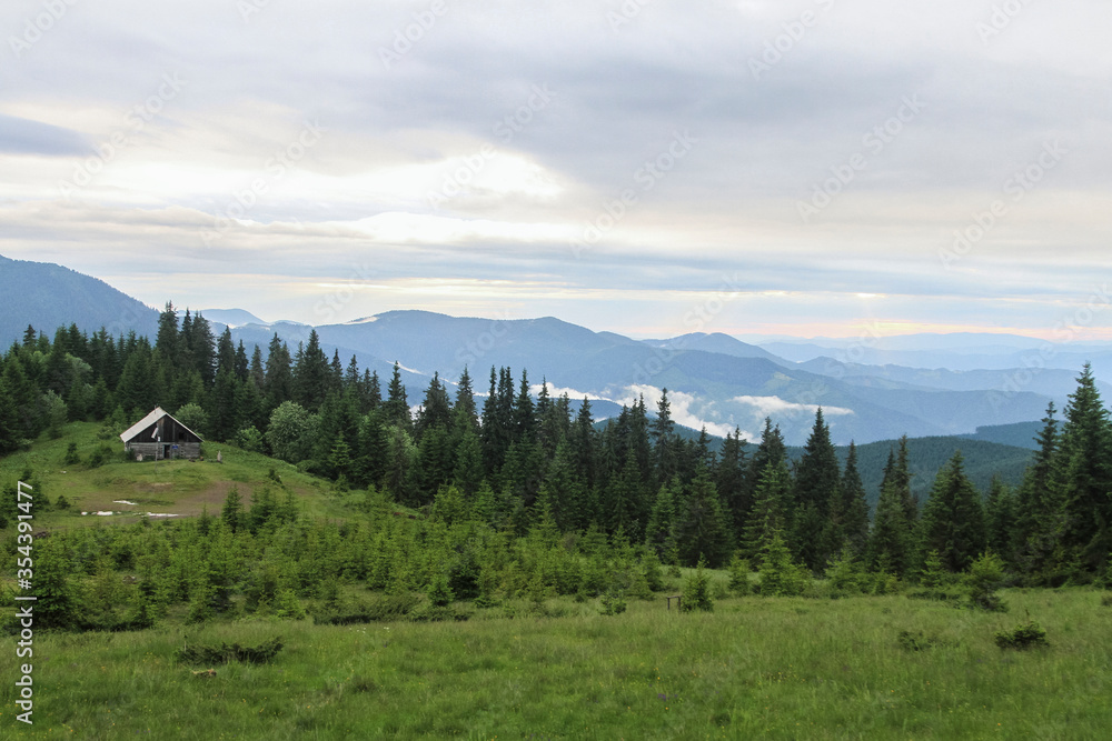 Beautiful summer forest landscape panorama view. Hiking travel outdoor concept mountain view. Journey in the Carpathians mountains, Ukraine