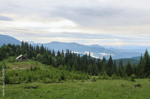 Beautiful summer forest landscape panorama view. Hiking travel outdoor concept mountain view. Journey in the Carpathians mountains  Ukraine