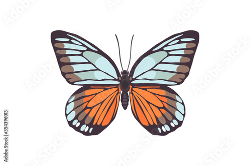 Butterfly. A beautiful insect. Vector illustration in flat style.