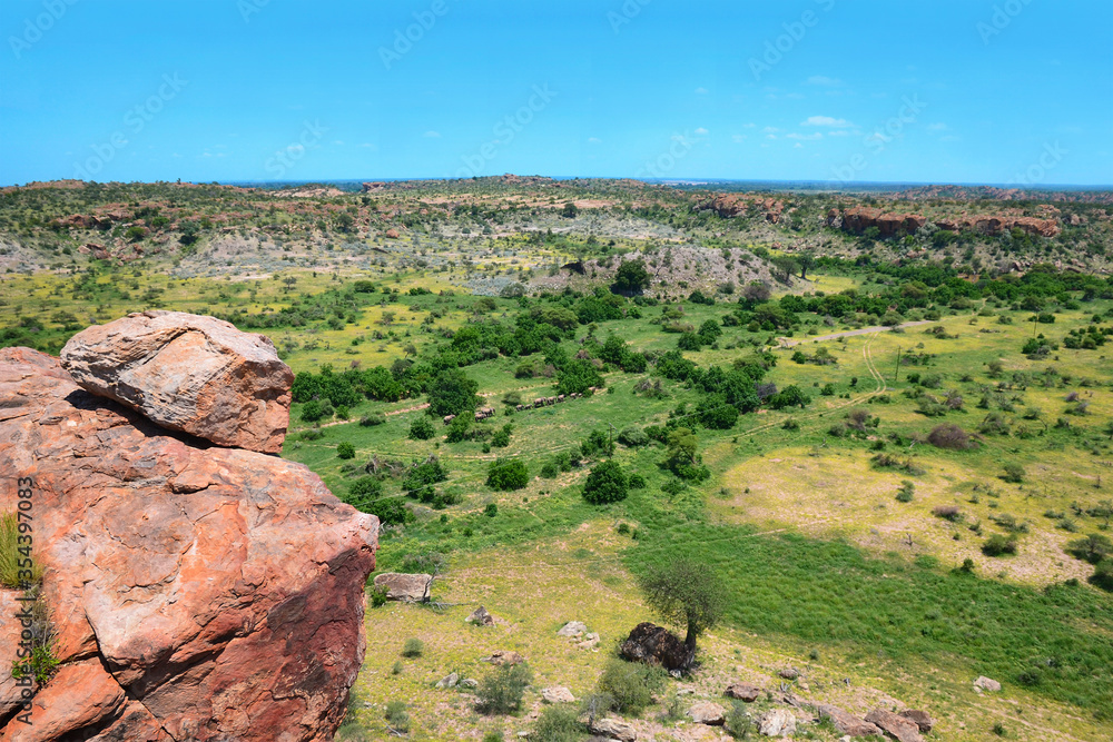 Landscape with herd of elephants, adults and cubs walking along elephant path, view from rock in Mapungubwe National Park, South Africa