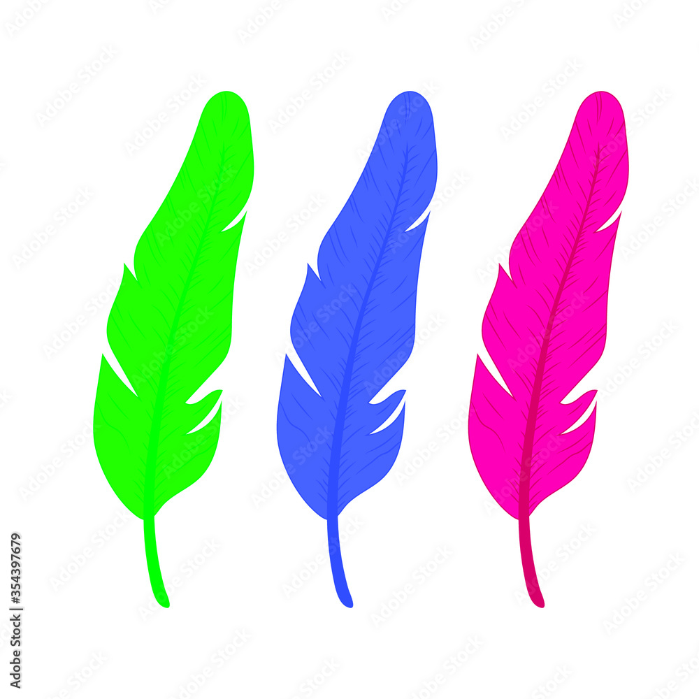 feathers of birds of different colors on a white onet, vector illustration