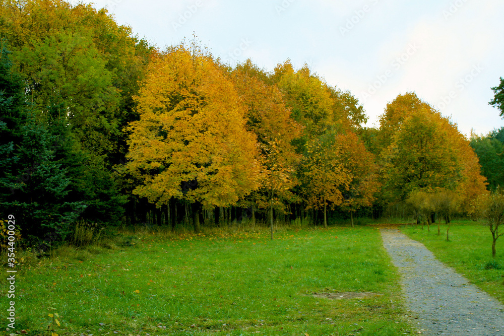 Fototapeta premium Beautiful autumn landscape