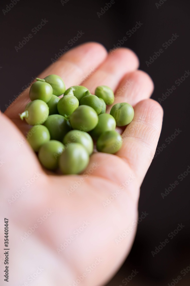 PÈSOLS PÈSOLS