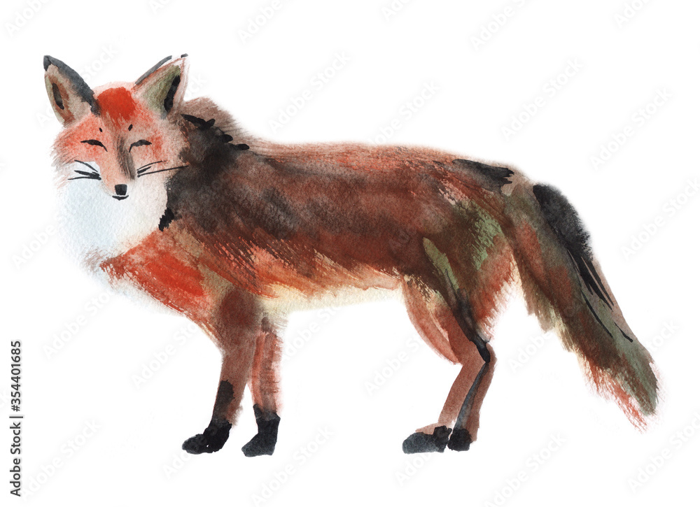 Fototapeta premium Watercolor illustration of a fox