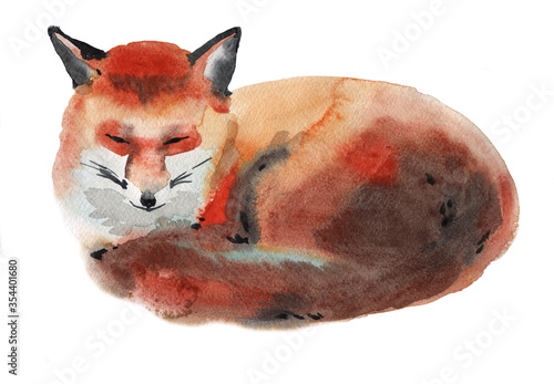 Watercolor illustration of a fox
