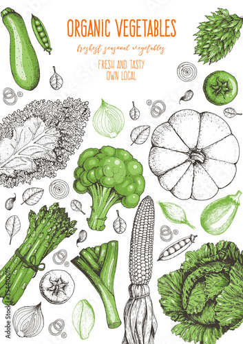 Vegetables top view frame. Farmers market menu design template. Organic vegetables food poster. Vintage hand drawn sketch vector illustration. Line art graphic. Engraved style.