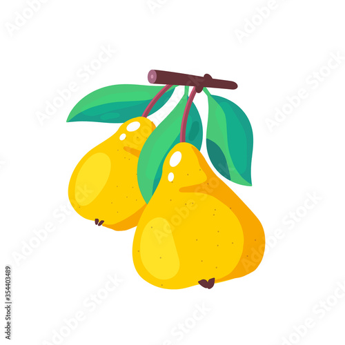 Fruit. Pear. Harvest. Branch with fruit. Vector illustration.