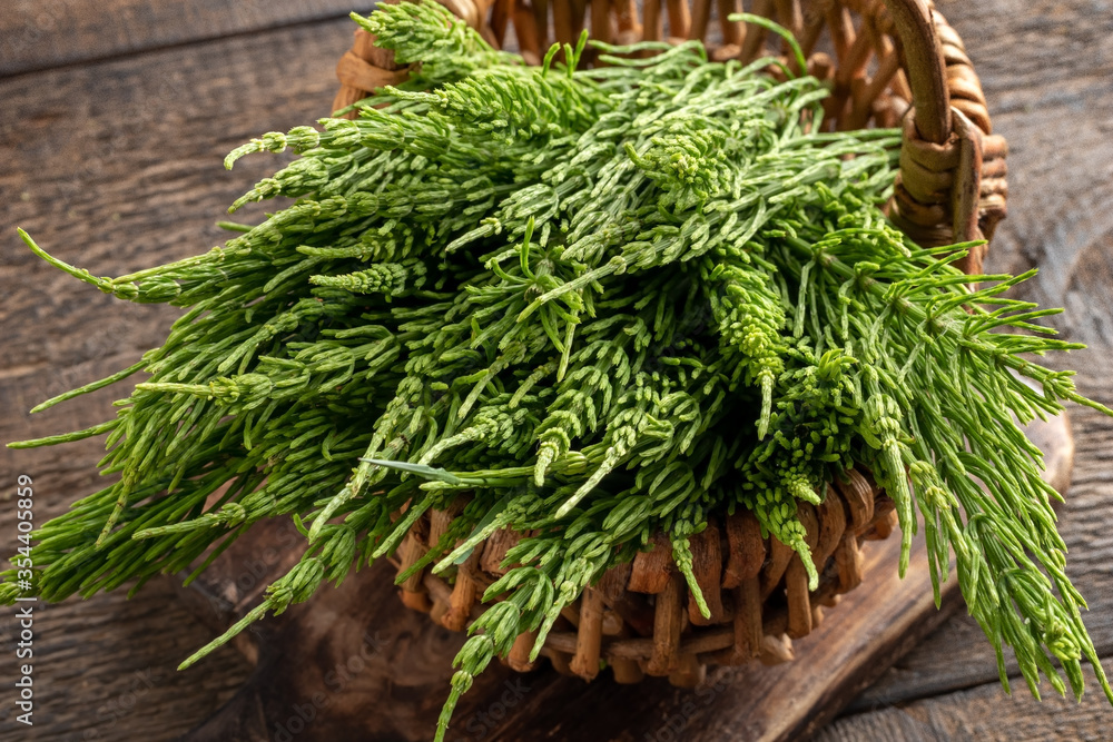 Horsetail twigs in a basket on a table Horsetail twigs in a basket on a table