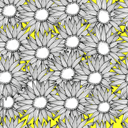 Photo Sunflowers seamless pattern