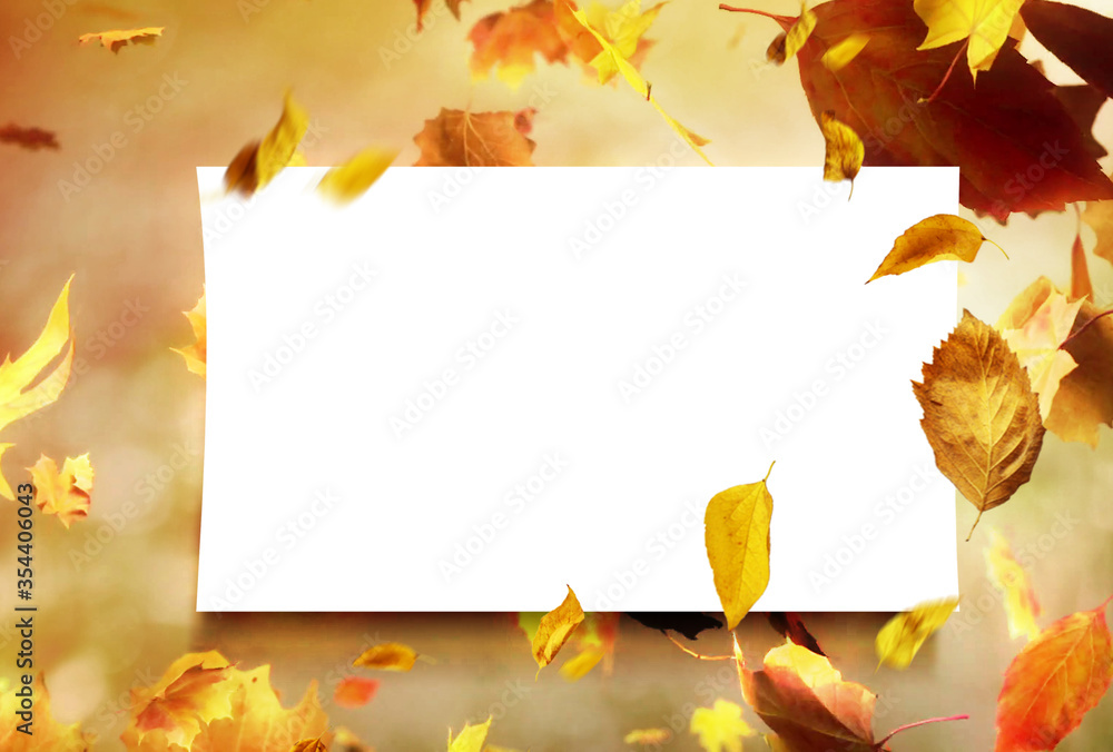 autumn Golden leaves lie on the green grass and yellow leaves from trees fall into the grass. Oak leaves. Maple leaves. White sheet of paper on the background.
