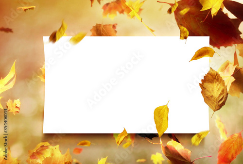 autumn Golden leaves lie on the green grass and yellow leaves from trees fall into the grass. Oak leaves. Maple leaves. White sheet of paper on the background.