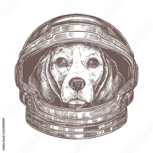 Vector dog astronaut in cosmonaut helmet. Cute animal in the space in spacesuit. Beagle in the galaxy, adventure across the univerce. Sketch drawing, black and white illustration for poster or t-shirt