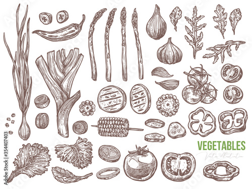 Vegetables and organic healthy food vector set. Slices and half tomatoes, paprika, pepper, cucumber, asparagus, salad, corn. Leaves of arugula, leek and bow. Sketch hand darwn illustration
