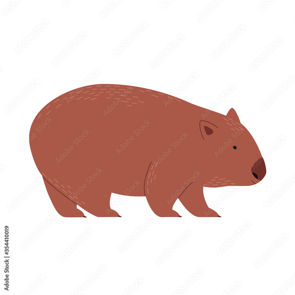 Obraz premium Wombat