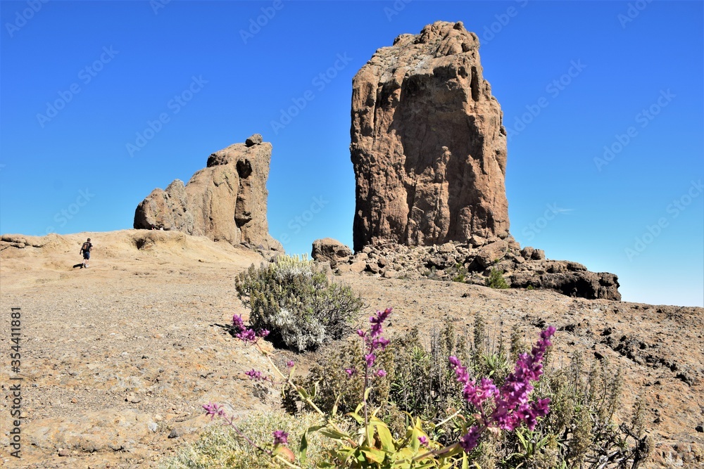 Roque Nublo