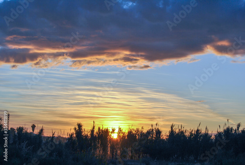 precioso atardecer con el sol entre las nubes y los cañamerales de la huerta de valencia © ALDABIKE