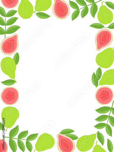 Wallpaper Mural Guava fruit frame. Hand drawn seamless pattern. Stock vector illustration. Torontodigital.ca