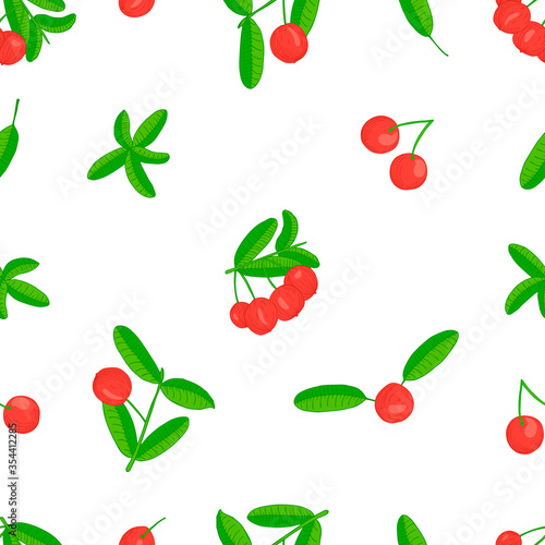 Imbe fruit with leaves on white background. Hand drawn seamless pattern. Stock vector illustration.