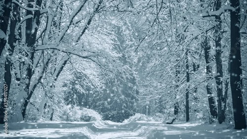 Wallpaper Mural Fantastic Fairytale Magical Landscape View Forest Park Torontodigital.ca