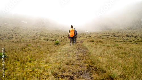 Young fit trekkers with local African guide walking in Rwenzori Mountains at Uganda, Eastern Central Africa, cold misty foggy morning in the valley, walking outdoors in a national park